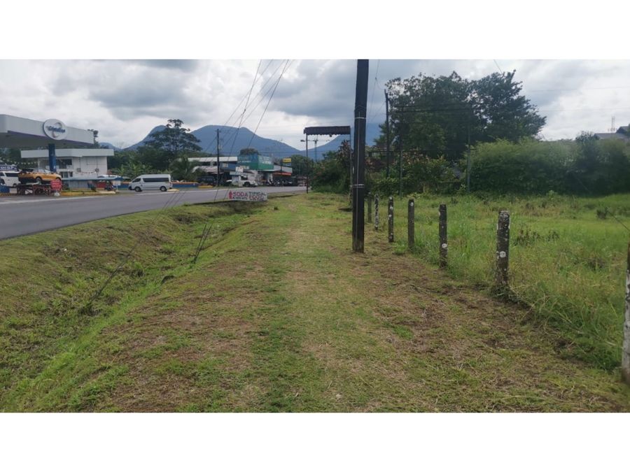 Venta Terreno La Fortuna, San Carlos COD RG 1263 — photo 4 of 11