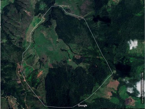vendo finca de 550 cuadras en betulia productiva y ganadera