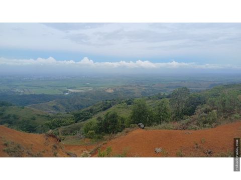 lotes en venta la buitrera palmira ref 9360181