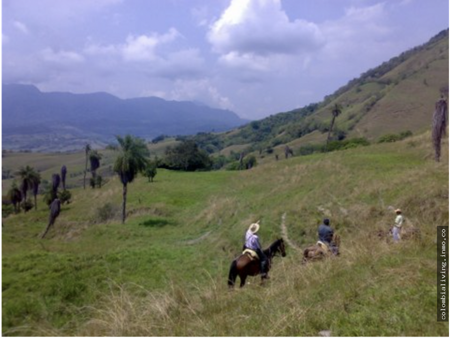 incredible 1209 acres in prime cattle country 15 hours from medellin