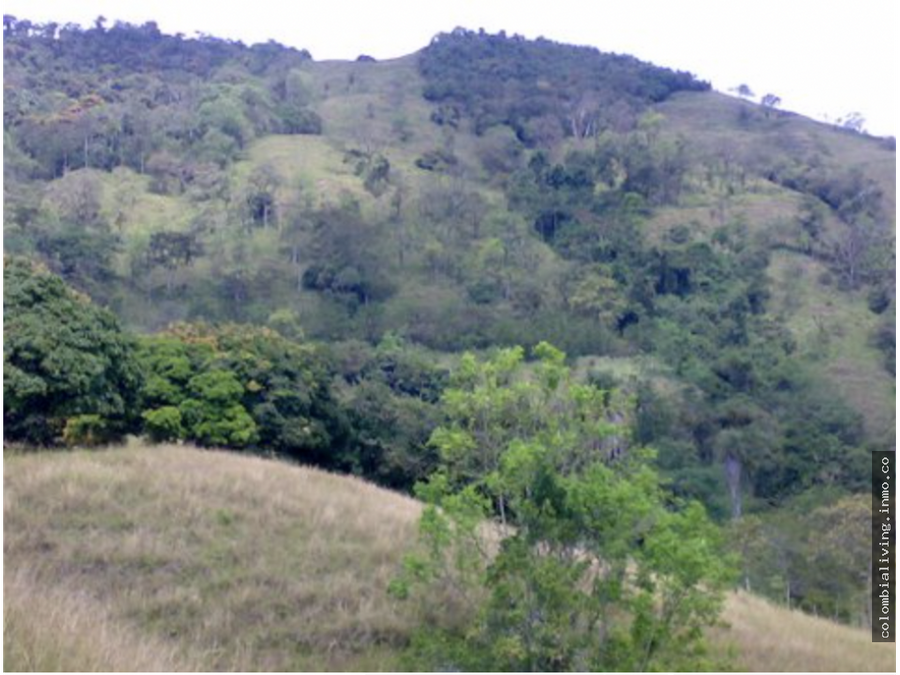 incredible 1209 acres in prime cattle country 15 hours from medellin
