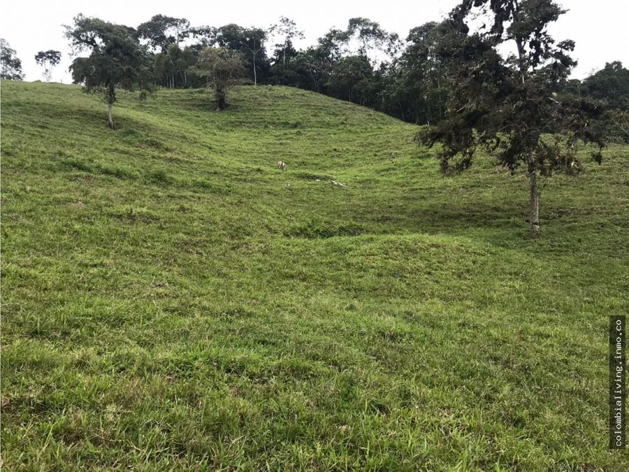 amazing 600 acre natural paradise near pereira for sale