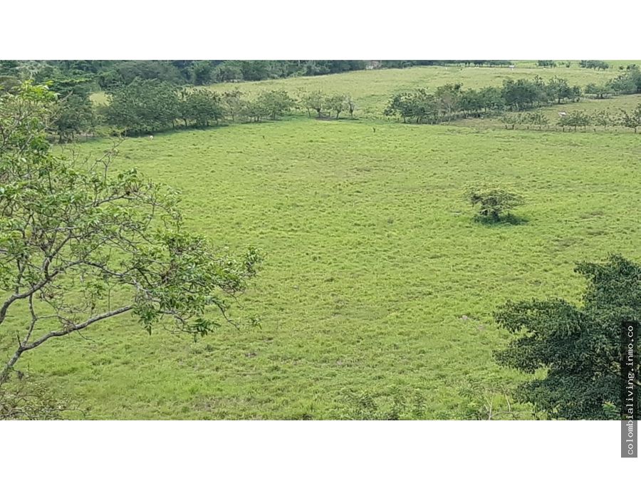 1400 acre cattle farm for sale colombia