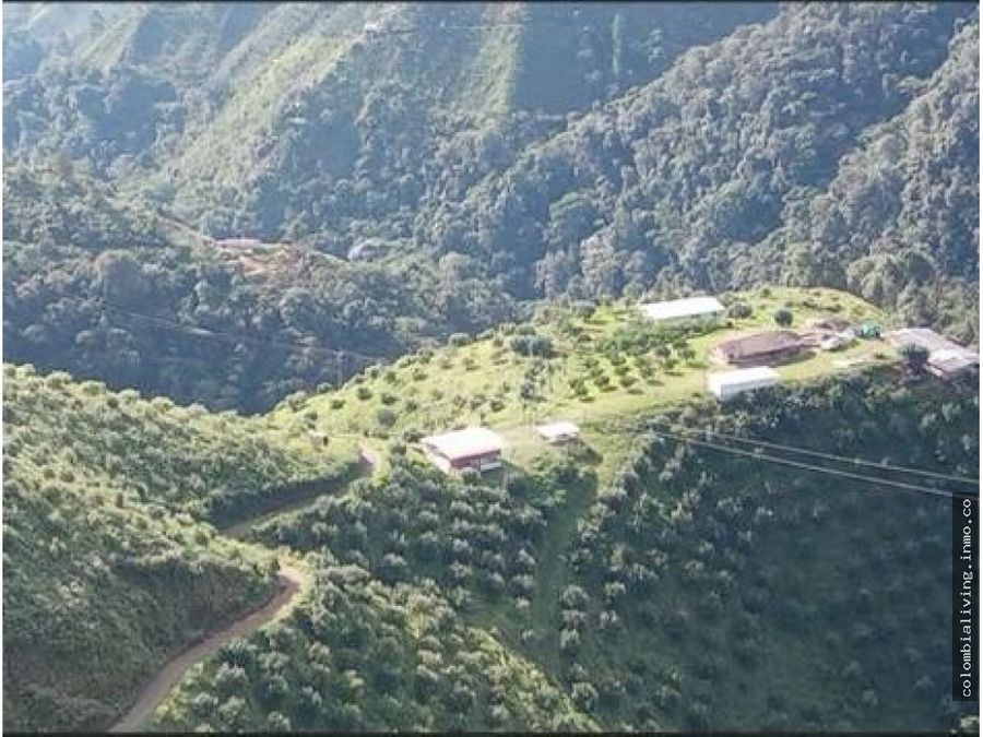gorgeous 242 acre multi purpose finca for sale near pereira colombia