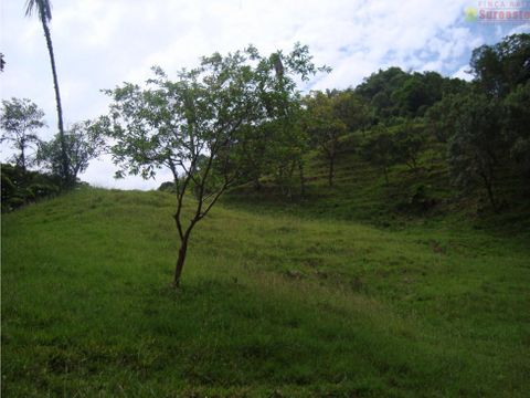 venta lote la pintada suroeste antioqueno unidad cerrada