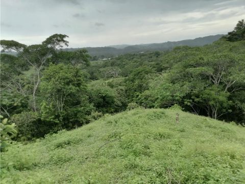 venta terreno 50 hectares canita de chepo