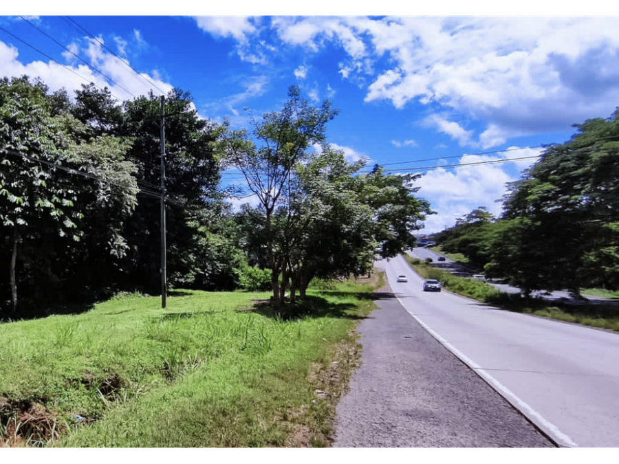 oportunidad de inversion finca sobre carretera interamericana bora