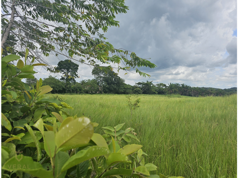 se venden lotes desde 1000mt2 panama oeste