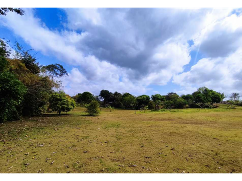 vendo terreno comercial de 16560mt2 espino la chorrera