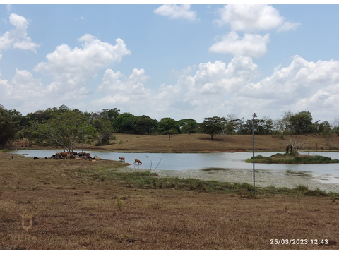 se vende finca de 18 hectareas cerro cama