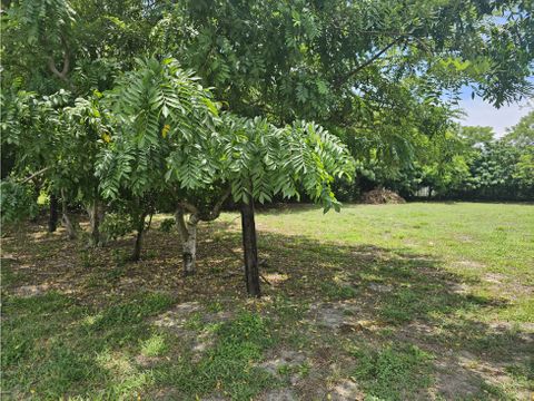 se vende terreno de 800mt2 las lajas de coronado