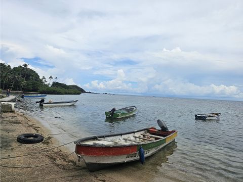 se vende finca de 4 hectareas en colon portobelo