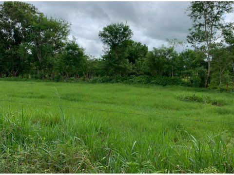 se venden finca de 11 hectareas en capira