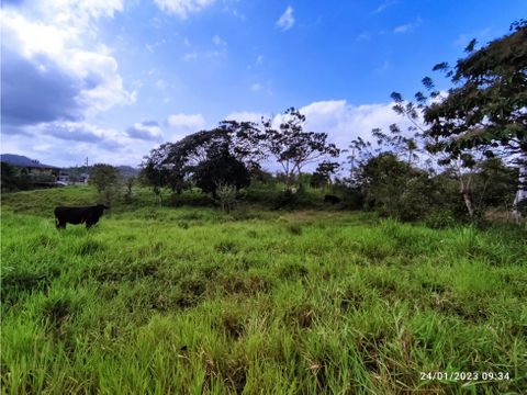 se vende finca de 57 has cerro cama