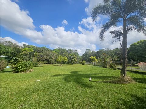 se vende finca de 15 has en espino panama oeste