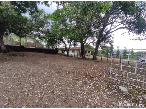 se vende finca de 76 hectareas en capira