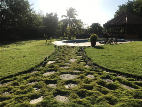 finca en venta de 4 has para vivienda o uso comercial coronado dr