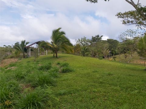 finca de 30 hectareas a la venta en capira