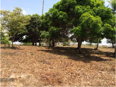 finca en venta anton cocle