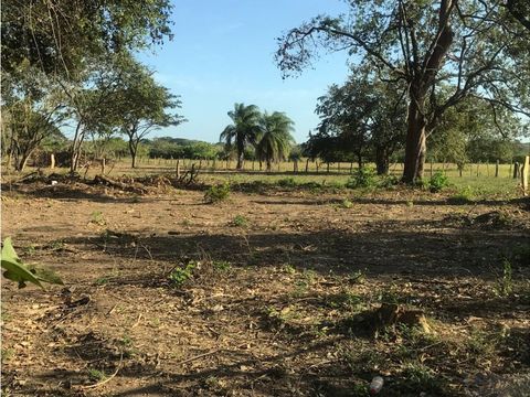 amplios lotes en liberia al