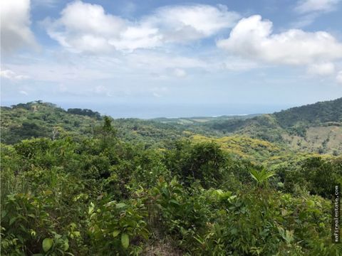 finca en baru costanera sur perez zeledon