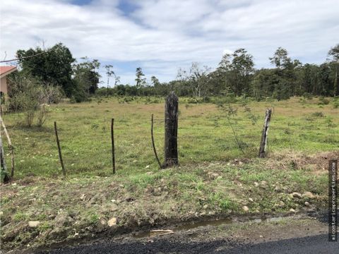 terreno apto para desarrollo en barrio san martin siquirres