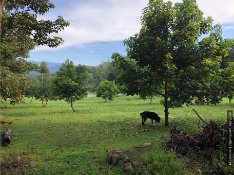 finca en san jeronimo de esparza