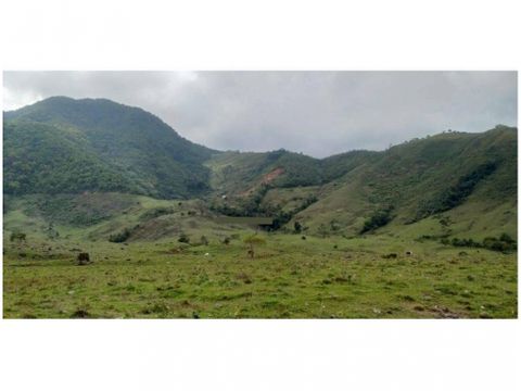 vendo finca de 550 cuadras para cultivos y ganaderia en betulia