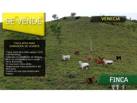 finca apta para ganaderia de levante en venecia con vista panoramica