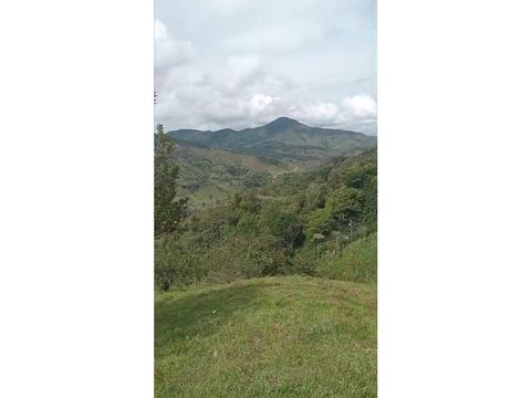 vendo finca en alejandria de 4 ha a 20 min del parque principal