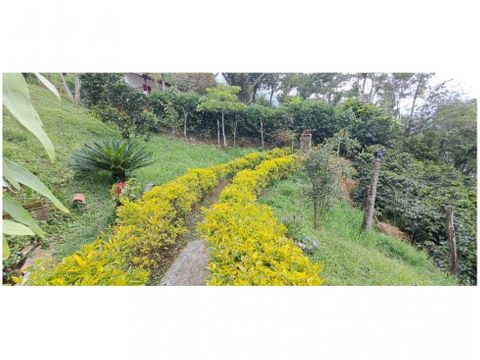 vendo finca de 3 cuadras en fredonia con marraneras y cultivos