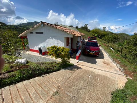 vendo finca en jerico 28 cuadras con cultivos de cafe y frutales