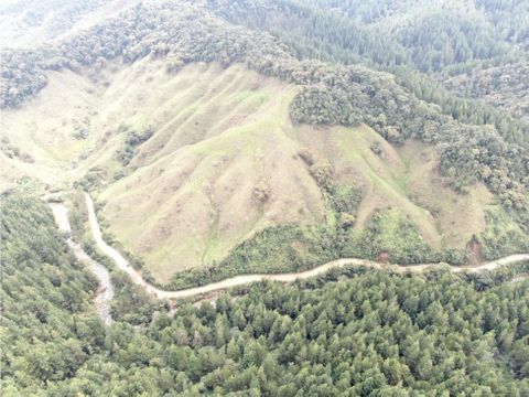 vendo finca lote de 28 ha para cultivos y ganado en granada ant