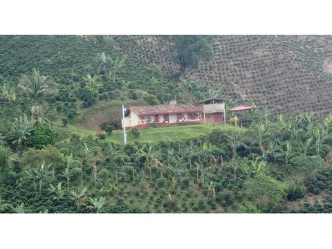 vendo finca de 47 cuadras en la vereda cordillera en fredonia