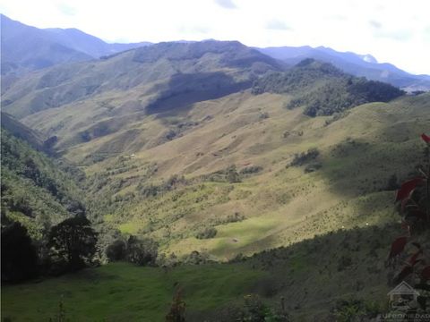 vendo finca de 540 cuadras en urrao certificada para aguacate hass