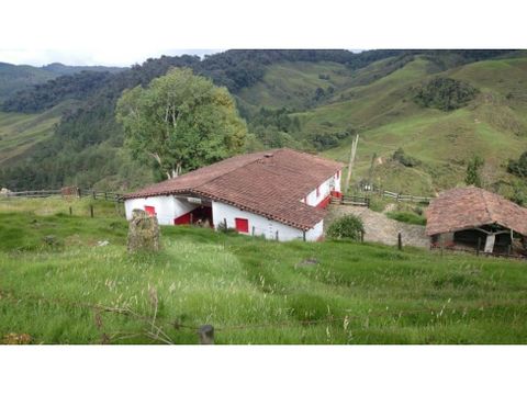 vendo finca agricola 300 ha en llanos de cuiva a 4 km de via principal