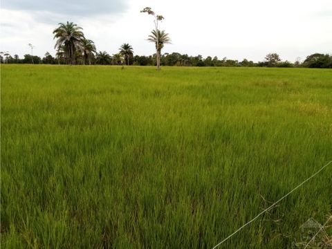 vendo finca de 500 hectareas entre puerto berrio y puerto boyaca