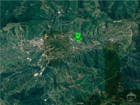 vendo finca en amaga de 18 cuadras con vocacion agricola y porcicola