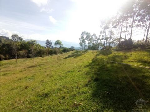 vendo lote de 98 cuadras en fredonia para cultivos o finca ganadera