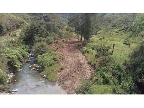 vendo lote de 23 cuadras en bosque nativo en el carmen de viboral