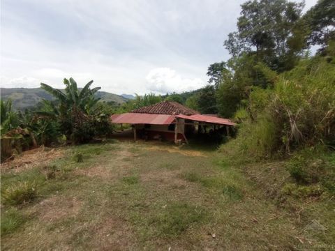 vendo finca lote de 95 cuadras para cultivos en santa barbara