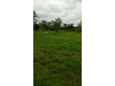 vendo finca de 720 hectareas entre puerto boyaca y puerto berrio