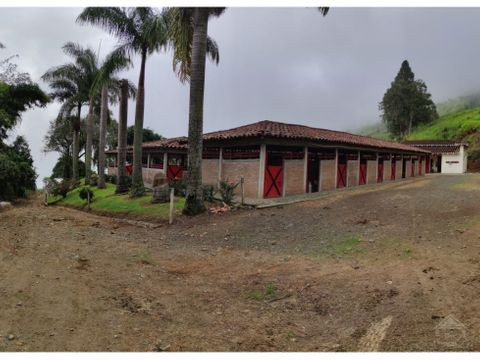 vendo finca ganadera apta para parcelar en el suroeste a bordo de via