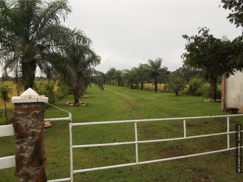 vendo hacienda en pedasi