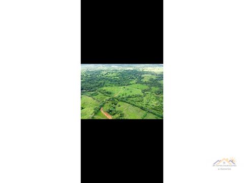 vendo finca ganadera de 25 hectareas en tanara chepo