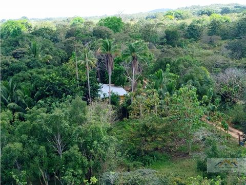 vendo finca de 4hectareas en aguadulce porvincia de cocle