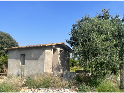 finca rustica en venta con caseta