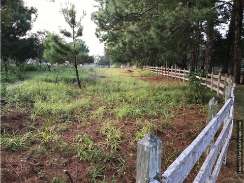 terreno en venta ubicado en km 325 carretera a santa elena barillas