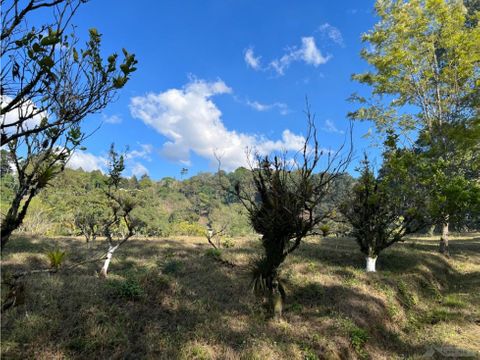 terreno en venta en el platanar c1