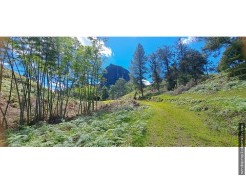 lote parcelacion en venta en guatape rural